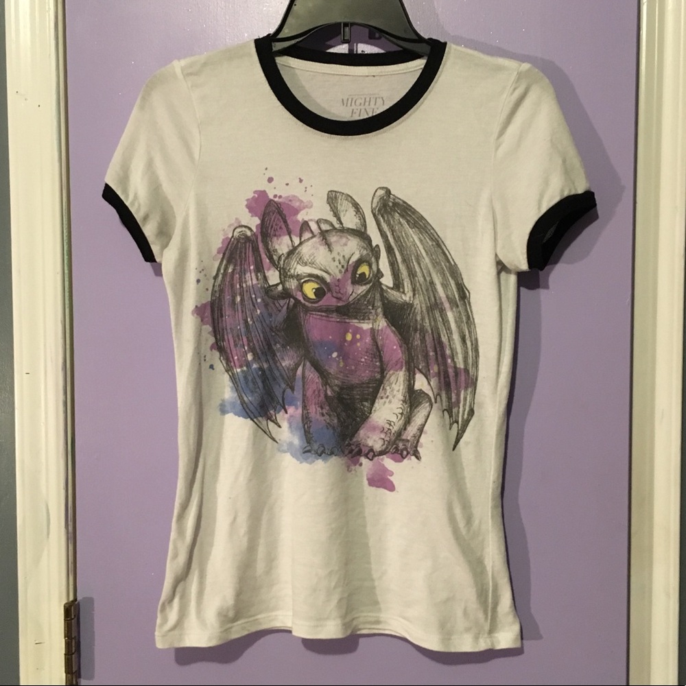 How to Train Your Dragon Toothless Artwork Shirt!